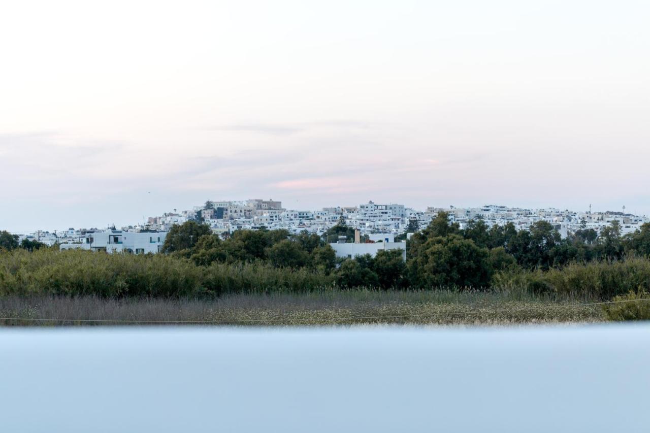Isalos Villas Naxos Naxos City Eksteriør billede